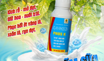 PHOS K - GIẢI PHÁP TRÊN ỚT